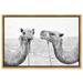 Union Rustic Animals Camel Best Friends Desert Landscapes - Floater Frame Graphic Art Print on Canvas in Gray/White | 10 H x 15 W x 1.5 D in | Wayfair