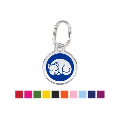 Red Dingo Kitten Personalized Stainless Steel Cat ID Tag, Small, Blue