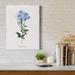 Ophelia & Co. 'Cape Leadwort' - Wrapped Canvas Graphic Art Print Canvas, Solid Wood in Blue/Green | 12 H x 8 W x 1 D in | Wayfair