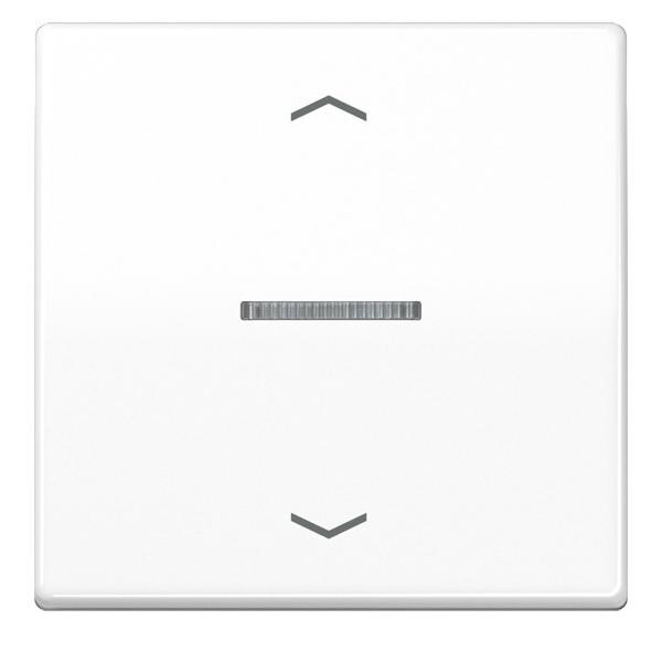 Jung Wippe AS 101 KO5P WW AS101KO5PWW Image