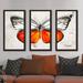 Red Barrel Studio® Fly Away II' Framed Watercolor Painting Print Multi-Piece Image on Acrylic in Gray/Green/Orange | Wayfair BBMT3337 40244595