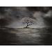 Buy Art For Less 'Tree in the Sea' by Ed Capeau Graphic Art on Wrapped Canvas in Black/Gray, Size 12.0 H x 16.0 W x 1.5 D in | Wayfair
