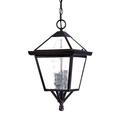 Darby Home Co Ernestine 3 -Bulb 18" H Outdoor Hanging Lantern Glass/Aluminium/Metal in Brown/Gray | 18 H x 9.75 W x 9.75 D in | Wayfair