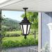 Charlton Home® Theydon 1 -Bulb 18.75" H Outdoor Hanging Lantern Glass/Metal in Black | 18.75 H x 10.25 W x 10.25 D in | Wayfair DBHM8671 43286250