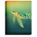 DiaNoche Designs 'Syndney Seaturtle' Graphic Art Print on Wrapped Canvas in Blue/Brown/Green | 14 H x 11 W x 1 D in | Wayfair