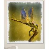 Design Art 'Dragon Fly Watercolor Illustration' Painting Print on Wrapped Canvas in Yellow | 20 H x 12 W x 1 D in | Wayfair PT13720-12-20