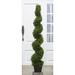 Darby Home Co Pond Boxwood Topiary in Pot Plastic | 60 H x 14.85 W x 9.45 D in | Wayfair DRBC7899 33489250