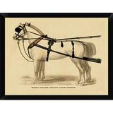 East Urban Home 'Saddles & Tack: Double English Long-Tug Coach, Sport, Competition, Sports, Play, Win, Score Harness' Framed Graphic Art Print | Wayfair