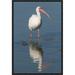 East Urban Home 'White Ibis, Fort Myers Beach, Florida' Framed Photographic Print in Blue | 18 H x 12 W x 1.5 D in | Wayfair EAAC7711 39223201