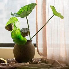 Ebern Designs Rustic Seed & Leaf Lotus Stem Plastic, Size 24.0 H x 7.9 W x 1.0 D in | Wayfair EBDG2259 42616562
