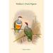 Buyenlarge 'Ptilopus Wallacei -Wallace's Fruit-Pigeon' by John Gould Graphic Art in White | 36 H x 24 W x 1.5 D in | Wayfair 0-587-31964-xC2436