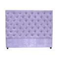 My Chic Nest Leigh Panel Headboard Upholstered/Velvet/Polyester/Cotton in Black | 65 H x 80 W x 5.9 D in | Wayfair 550-105-1120-K