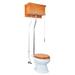 The Renovators Supply Inc. 1.6 GPF Elongated Wall Hung Toilet (Seat Not Included), Stainless Steel | Wayfair 21777