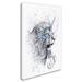 Trademark Fine Art 'Lion Soul' Graphic Art Print on Wrapped Canvas Canvas | 19 H x 12 W x 2 D in | Wayfair ALI18514-C1219GG