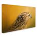 Trademark Fine Art 'Red Tailed Hawk at Sunset' Graphic Art Print on Wrapped Canvas Canvas | 12 H x 19 W x 2 D in | Wayfair ALI14288-C1219GG