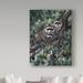 Trademark Fine Art 'Racoons' Graphic Art Print on Wrapped Canvas in Black/Brown/Green | 19 H x 14 W x 2 D in | Wayfair ALI30286-C1419GG