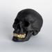The Holiday Aisle® Human Skull Replica- Desk- Table Wall Décor Ceramic in Black | 7 H x 8.5 W in | Wayfair A7EA7CD8A17649C6A638E51DAA1401D7