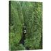 East Urban Home Oregon Mt Hood National Forest Columbia Gorge 'Oneonta Creek' - Photograph Print on Canvas in Green | 18 H x 12 W x 1.5 D in | Wayfair