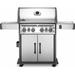 Napoleon Rogue 4-Burner Gas Grill w/ Cabinet Stainless Steel in Gray | 48.5 H x 60.5 W x 25 D in | Wayfair RSE525RSIBPSS-1