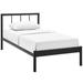 Gwen Twin Bed Frame by Modway Metal in Brown | 35.5 H x 42 W x 80.5 D in | Wayfair MOD-5543-BRN-SET