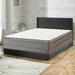 Twin Medium 10" Innerspring Mattress - Spinal Solution & Box Spring | 74 H x 53 W 10 D in Wayfair SC20-3/3-2