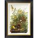 Global Gallery Meadow Lark by John James Audubon - Picture Frame Graphic Art Print on Canvas Canvas, in Black/Green | Wayfair GCF-197761-1218-190
