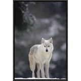 East Urban Home 'Timber Wolf Female' Framed Photographic Print on Canvas in Gray/Green | 18 H x 12 W x 1.5 D in | Wayfair URBH4683 38223132