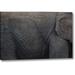 World Menagerie Namibia, Tosha NP Textured Hide of Elephant by Bill Young - Photograph Print on Canvas in Gray | 10 H x 16 W x 1.5 D in | Wayfair