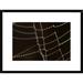 Global Gallery Spider Web w/ Beads of Dew, France by Cyril Ruoso Framed Photographic Print Paper in Black | 18 H x 1.5 D in | Wayfair