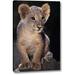 World Menagerie CA, Los Angeles Co, African Lion Cub on Rock by Dave Welling - Wrapped Canvas Photograph Print Canvas in Black/Brown | Wayfair