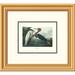 Global Gallery Purple Heron by John James Audubon Framed Painting Print Paper | 18 H x 20 W x 1.5 D in | Wayfair DPF-132743-0810-102