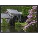 Global Gallery Rhododendron Blossoming at Mabry Mill, Blue Ridge Parkway, Virginia by Tim Fitzharris Framed Photographic Print on Canvas | Wayfair