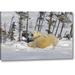 World Menagerie 'Canada, Wappos NP Polar Bear Cubs & Mother' Photographic Print on Wrapped Canvas in White | 10 H x 16 W x 1.5 D in | Wayfair