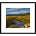 Global Gallery Hills Landscape Showing Prairie & Ponderosa Pines South Dakota by Tim Fitzharris - Picture Frame Photograph Print on | Wayfair