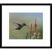 Global Gallery Magnificent Hummingbird Foraging, Costa Rica by Tim Fitzharris Framed Photographic Print Paper in Gray/Green | Wayfair