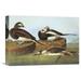 Global Gallery 'Long Tailed Duck' by John James Audubon Painting Print on Wrapped Canvas Canvas | 11.36 H x 16 W x 1.5 D in | Wayfair