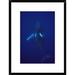 Global Gallery 'Humpback Whale Calf Riding the Pressure Wave Created By Its Mother, Hawaii' Framed Photographic Print Paper in Blue | Wayfair