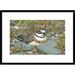 Global Gallery 'Double-Banded Plover on Ground Nest, Lake Ellesmere, New Zealand' Framed Photographic Print Paper in Gray/Green | Wayfair