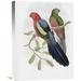 Global Gallery 'Yellow-Winged King Parrot' by John Gould Painting Print on Wrapped Canvas in Blue/Green/Red | 22 H x 16.55 W x 1.5 D in | Wayfair