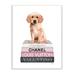 Stupell Industries Adorable Puppy Sitting On Glam Fashion Books by Amanda Green - Floater Frame Graphic Art Print on Canvas in Pink | Wayfair