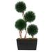Dalmarko Designs Exclusive Double Topiary in Planter Metal in Brown | 96 H x 40 W x 16 D in | Wayfair dmr553