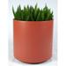 Latitude Run® Junita Plastic Pot Planter in Orange | 33" H x 60" W x 48" D | Wayfair 662222FE6E364FBE88715B30D579FFD5
