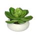 Winston Porter Artificial Echeveria Plant in Planter Ceramic/Plastic in White | 4.5 H x 7 W x 7 D in | Wayfair HF0584G-W