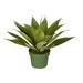 Corrigan Studio® Artificial Succulent Plant in Pot Liner Plastic | 13 H x 16 W x 16 D in | Wayfair 49FF958AE52E44099ACC1C1B36F1AFDB