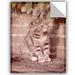 Winston Porter Cats Removable Wall Decal Vinyl | 10 H x 8 W in | Wayfair 9D9C108C30A64CCD8B74F5B4D587119C