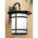 Red Barrel Studio® Arinze 1-Light Outdoor Wall Lantern in Brown | 27.25 H x 14.13 W x 20 D in | Wayfair 9E6A01C187AF4031AD37E63C3C2F872C