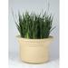 Ophelia & Co. Anso Plastic Pot Planter Fiberglass in White/Brown | 36 H x 48 W x 39 D in | Wayfair BBFF6A119BE2462F9EBB48FEB2D8D26B