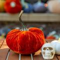 The Twillery Co.® Velvet Pumpkin Decorative Accent Resin in Orange | 6.5 H x 4.75 W x 4.75 D in | Wayfair CEDA892DA97340588CF36E10763B29CB