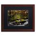 Millwood Pines Eaux Vives in Gerardmer by Philippe Sainte-Laudy - Picture Frame Photograph Print on Canvas in Green | 11 H x 14 W x 0.5 D in | Wayfair