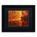 Millwood Pines And the Sun Down by Philippe Sainte-Laudy - Picture Frame Photograph Print on Canvas Canvas | 11 H x 14 W x 0.5 D in | Wayfair